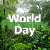 World Forestry Day