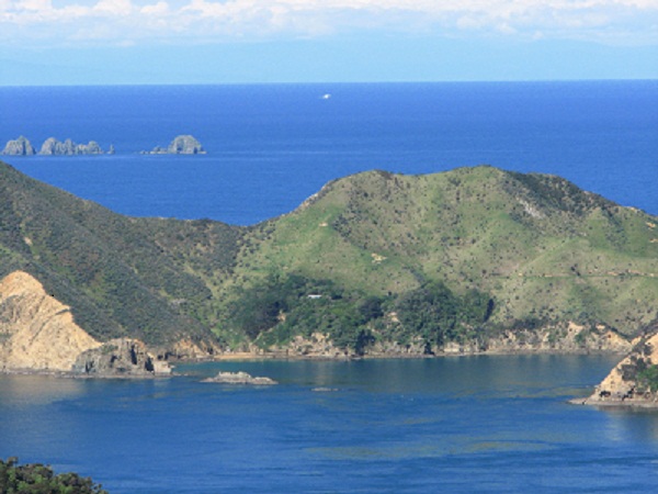 Puangiangi Island