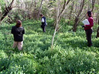 War on Weeds