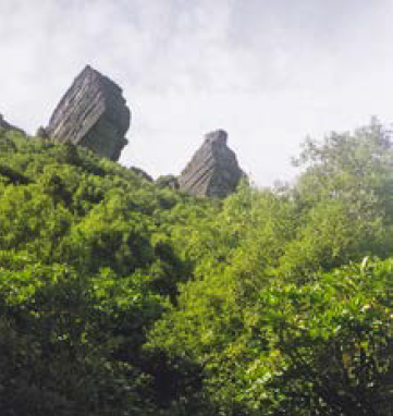 Ngamoko landslide