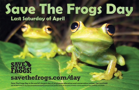 Save The Frogs Day